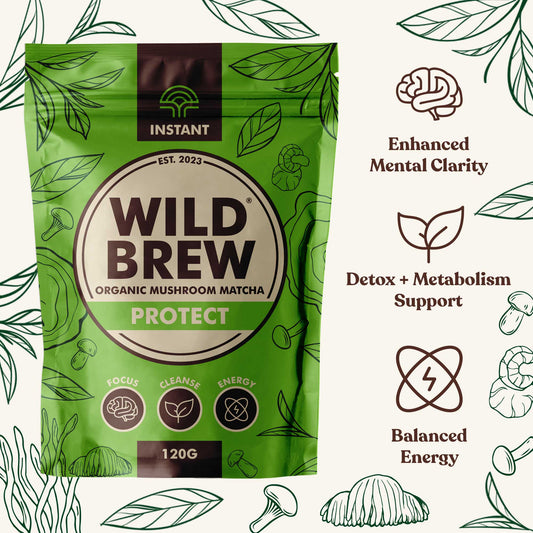 Wild Brew Protect Organic Mushroom Matcha Latte